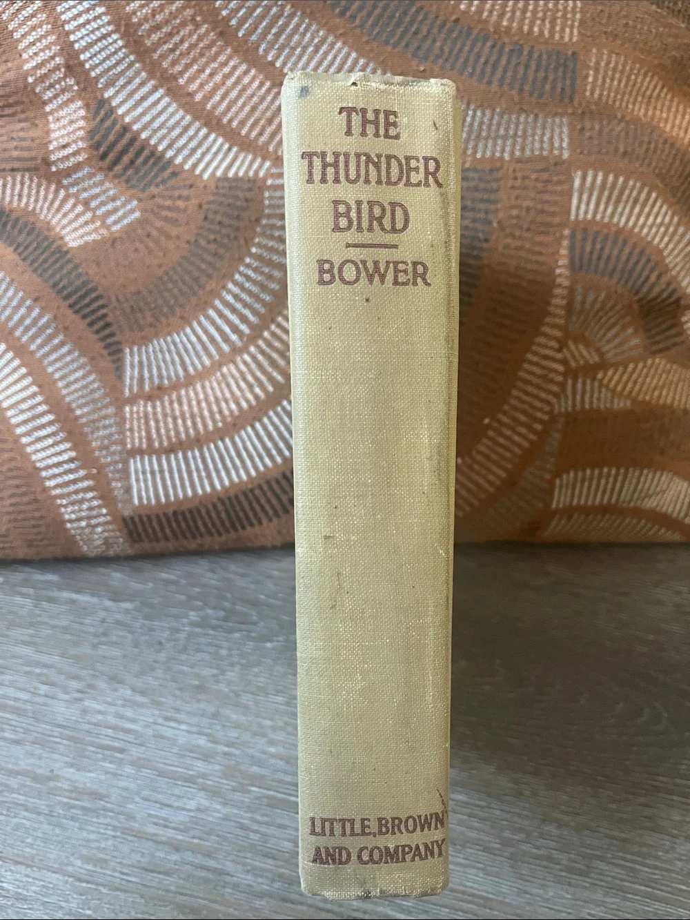 The Thunderbird by R.M. Bower - 1919